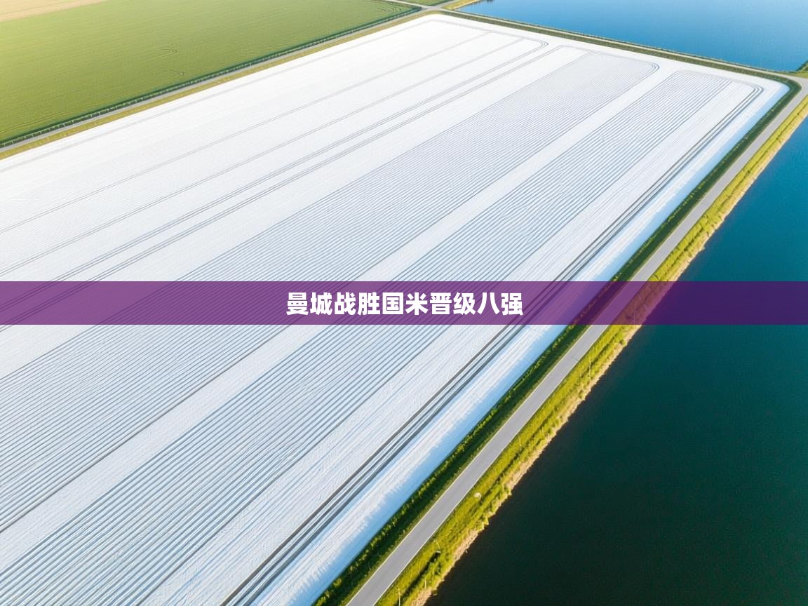 曼城战胜国米晋级八强  第1张