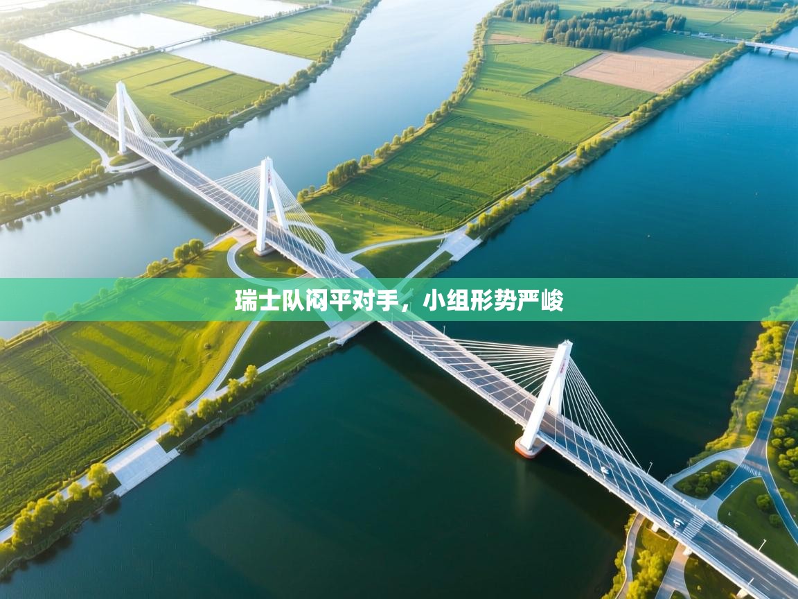 瑞士队闷平对手，小组形势严峻  第1张